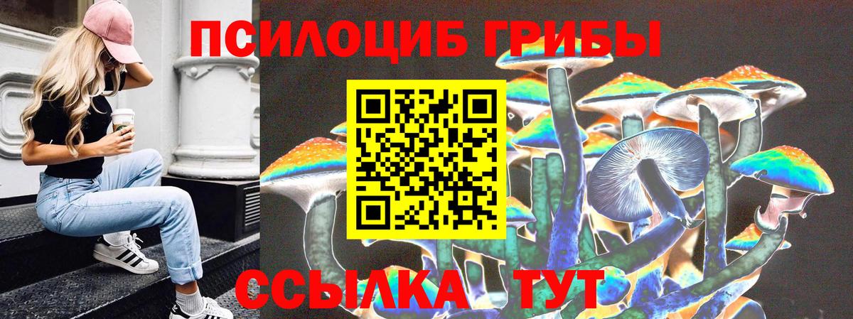 Псилоцибиновые грибы MAGIC MUSHROOMS Курчалой